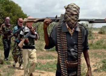 النيجر: 25 قتيل في هجوم لمسلحين قرب الحدود مع مالي