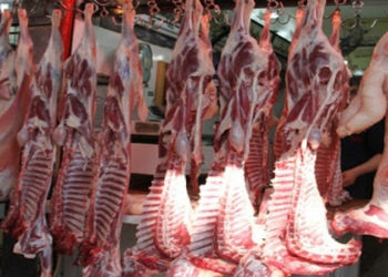 طبلبة: حجز 200 كغ من اللحوم الحمراء الفاسدة بمخزن تبريد