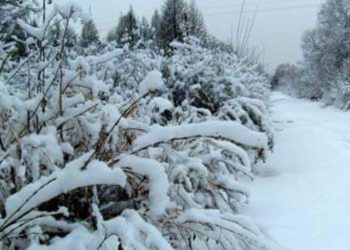 خلال ال24 ساعة الماضية: الثلوج تساقطت على مستوى 3 ولايات