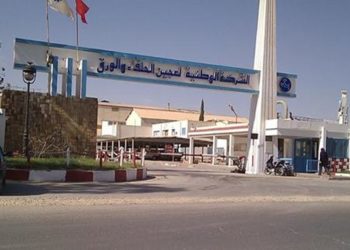 وزارة الصناعة: لا وجود لنيّة التفويت في الشركة الوطنية لعجين الحلفاء والورق