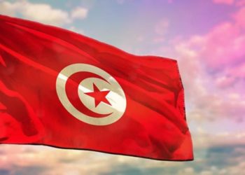 تغييب الجالية عن قضايا الوطن يخلق فجوة مبادئ وقيم