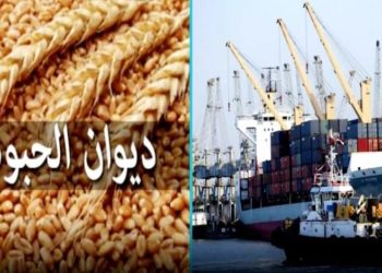 بسبب عدم قدرة ديوان الحبوب على الخلاص: 4 بواخر قمح وشعير وفارينة مستوردة في عرض البحر دون الدخول إلى ميناء صفاقس