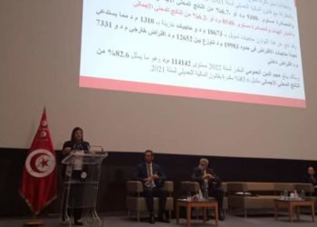 وزيرة المالية للناشطين في الاقتصاد الموازي: 10% من فلوسك مقابل تسوية وضعيتك!