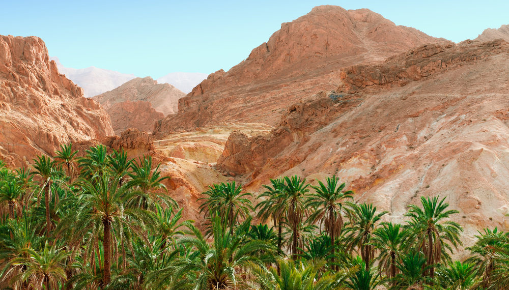 توزر: النزل السياحية ودور الضيافة تسجل نسب امتلاء كبيرة خلال عطلة الشتاء في كنف احترام البروتوكول الصحي