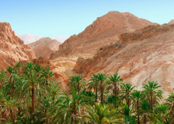 توزر: النزل السياحية ودور الضيافة تسجل نسب امتلاء كبيرة خلال عطلة الشتاء في كنف احترام البروتوكول الصحي