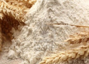 نابل: حجز 20 طنا من الفارينة لدى عدد من المخابز