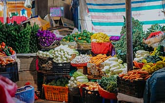 الناس على دين ملوكهم