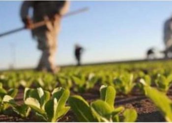 إيطاليا تفتح باب الهجرة عملا بالمرسوم السنوي لتدفقات اليد العاملة بعنوان 2022