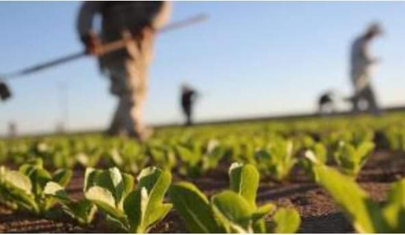 إيطاليا تفتح باب الهجرة عملا بالمرسوم السنوي لتدفقات اليد العاملة بعنوان 2022