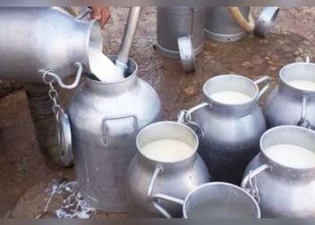 الحكومة تحدد المخزون التعديلي من الحليب المعقم لسنة 2021