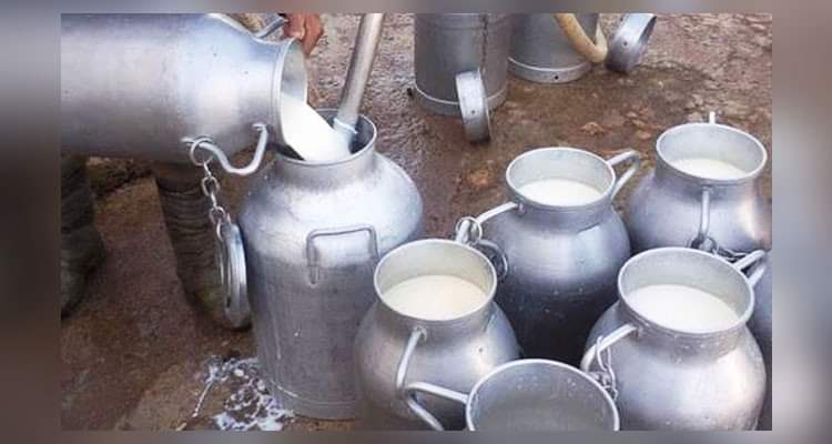 الحكومة تحدد المخزون التعديلي من الحليب المعقم لسنة 2021