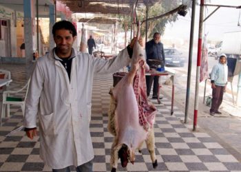 عادة سيئة تعود