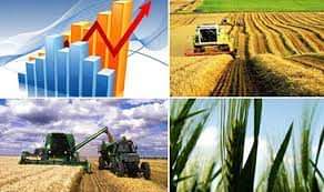 خلال عام 2021: تراجع الاستثمارات الفلاحية من صنف أ المصادق عليها