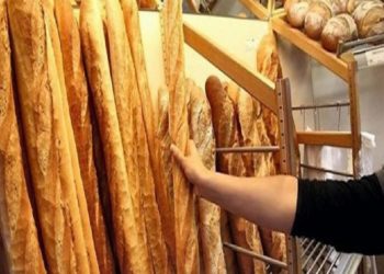 بعد وعود وزارة التجارة بتزويد الفرينة و السميد وسن قوانين تنظم القطاع: المجمع المهني للمخابز العصرية يأجل الإعتصام