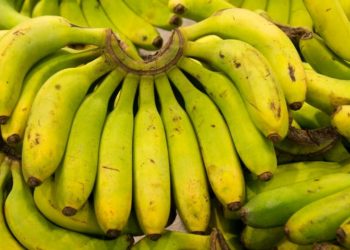 الحرس الوطني: حجز الآلاف من صناديق الموز الغير مرخصة