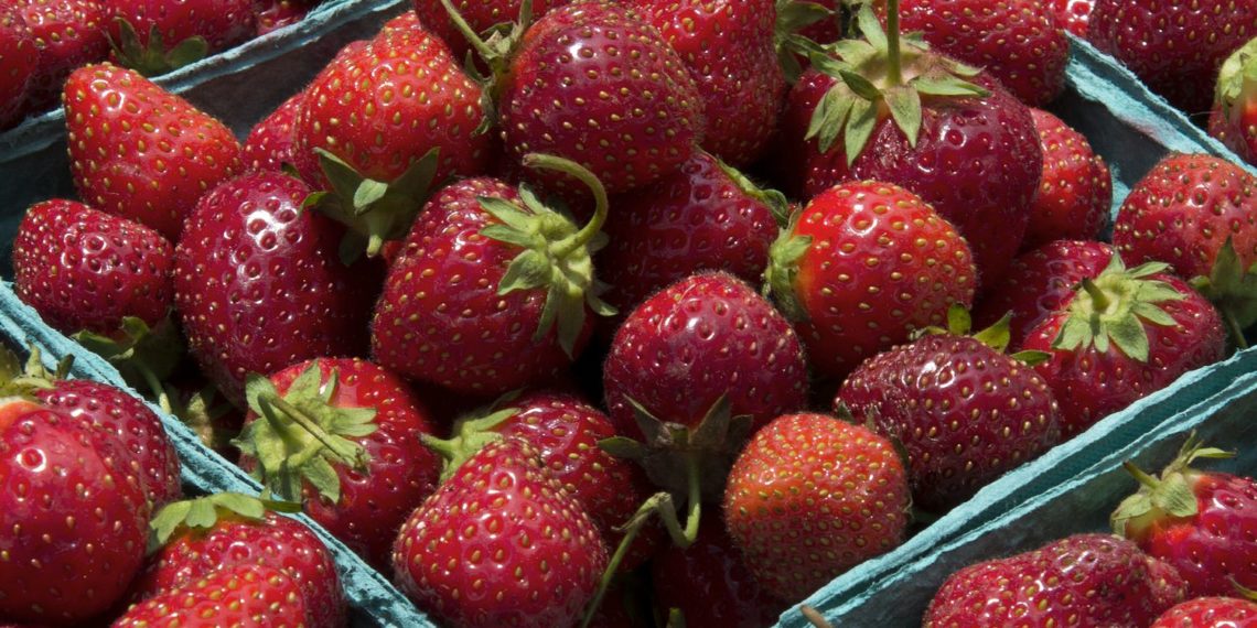 مندوب الفلاحة بنابل: إن شاء الله في رمضان ناكلو برشا فراز