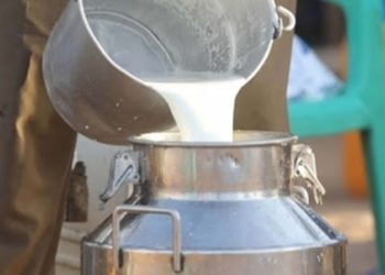 بعد ثبوت إستعمال لمواد كيميائيةسامة: غلق مركز تجميع الحليب بالجديدة