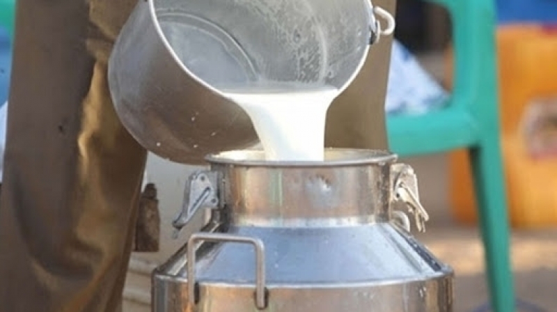 بعد ثبوت إستعمال لمواد كيميائيةسامة: غلق مركز تجميع الحليب بالجديدة