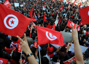 534.915 تونسي شاركوا في الإستشارة الوطنية