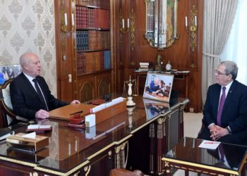 سعيد:نرفض التدخل في الشؤون الداخلية لبلادنا بأي شكل من الأشكال