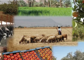 خلال الثلاثي الاول من عام 2022 تطور في قيمة الاستثمارات الفلاحية الخاصة المصادق عليها