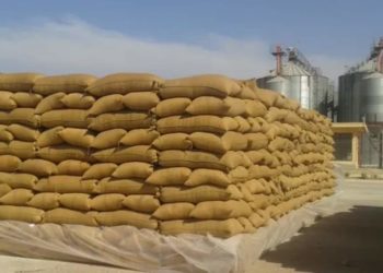 تونس مطالبة بتوريد أكثر من مليون طن من الحبوب