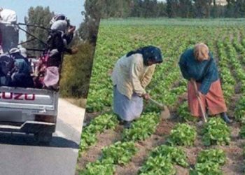 إصابة 5 عاملات فلاحة في حادث مرور بسيدي بوزيد