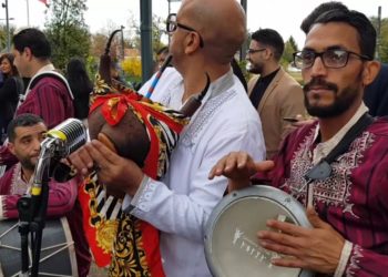 شكرا زهير الرايس