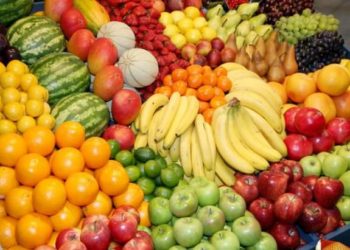 ارتفاع انتاج تونس من الغلال الصيفية الى 295 الف طن