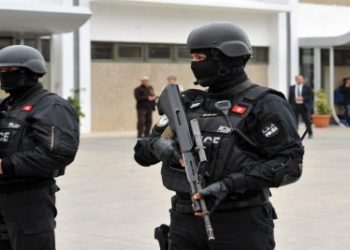 القبض على عنصر إرهابي طعن أمنيين