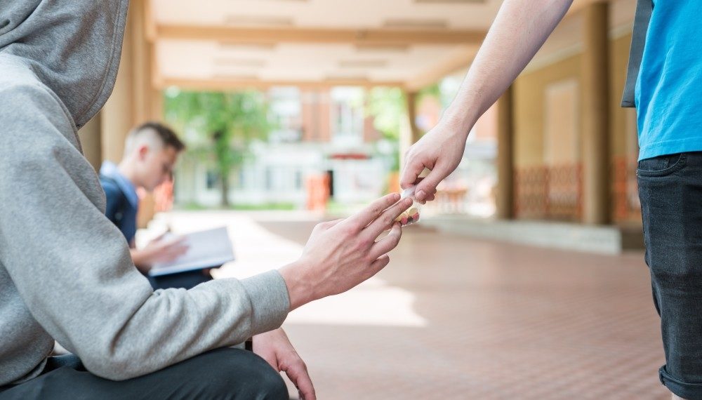 وزير التربية: 9% من التلاميذ في تونس يتعاطون المخدرات