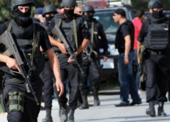 القبض على 8 نساء يشتبه في انضمامهن إلى تنظيم إرهابي