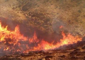 حريق يأتي على 16 هكتار من صابة القمح والشعير  بسليانة