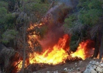 توسع رقعة حريق جبل البياض ومساعٍ متواصلة لتطويقه