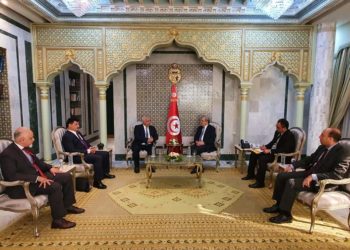 رئيس بعثة جامعة الدول العربية: “الاستفتاء دار في كنف النزاهة والشفافية”