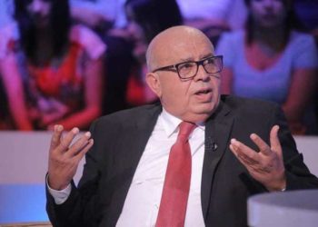 عبيد البريكي: سعيّد ليس دكتاتورا وسيكون الدستور أرضية لتأسيس تونس الغد