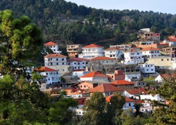 ضد الحرائق…لنجعل “تونس الخضراء ” خضراء فعلا