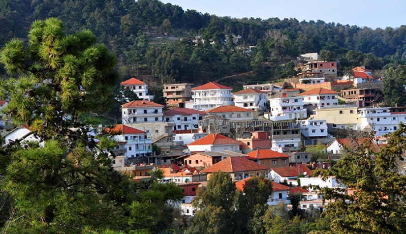 ضد الحرائق…لنجعل “تونس الخضراء ” خضراء فعلا