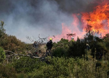 مسؤولون يرجحون أن يكون حريق برقو بفعل فاعل