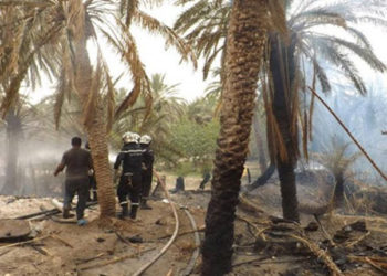 السيطرة على حريق بواحة توزر