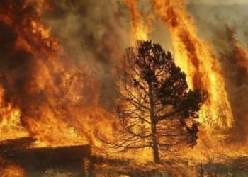 سيدي ثابت: إخماد حريق جاء على ثلاثة هكتارات