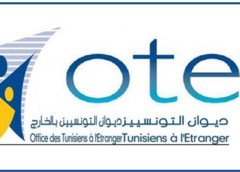 ما هي أهمية تعيين مدير عام جديد لديوان التونسيين بالخارج في ظل غياب خارطة طريق واضحة المعالم؟