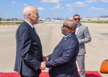 رئيس مجموعة البنك الافريقي للتنمية: مستعدون لمواصلة الوقوف إلى جانب تونس ومعاضدة جهودها