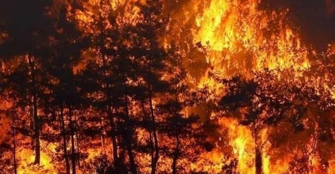 طبرقة: تجدد اشتعال النيران بجبل البياضة