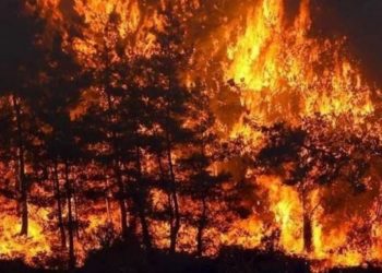 طبرقة: تجدد اشتعال النيران بجبل البياضة