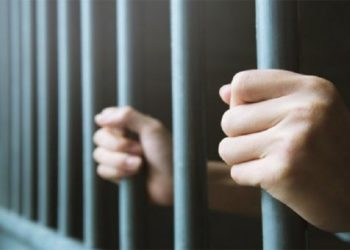 جريمة قتل الأستاذ الجامعي بضيعته بمرناق: الإحتفاظ بزوجين يعملان لدى الهالك