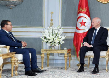 في لقاء سعيّد والمغزاوي: تباحث حول تصورات حركة الشعب للمناخ والقانون الإنتخابي