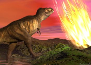 علماء يحلون لغزاً عمره 66 مليون عام حول انقراض الديناصورات