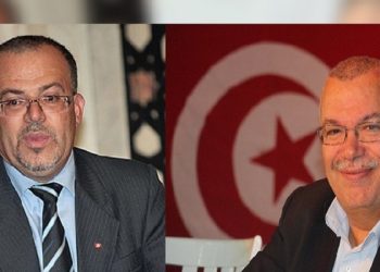 ديلو: تم منعي والبحيري من مرافقة العريض أثناء إستنطاقه في قضية التسفير إلى بؤر التوتر