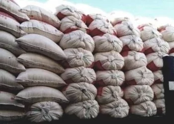 العاصمة: حجز 2300 كغ من الفارينة المدعمة